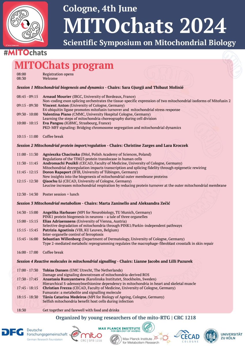📣📣📣Less then one week left until #MitoChats 2024! #mito #mitochondria @MPIAGE @CECAD_