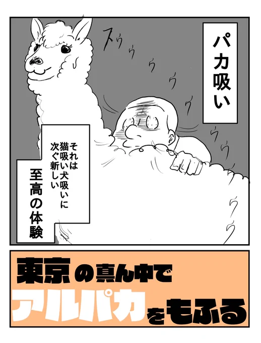 アルパカカフェにいく漫画(0/2) 