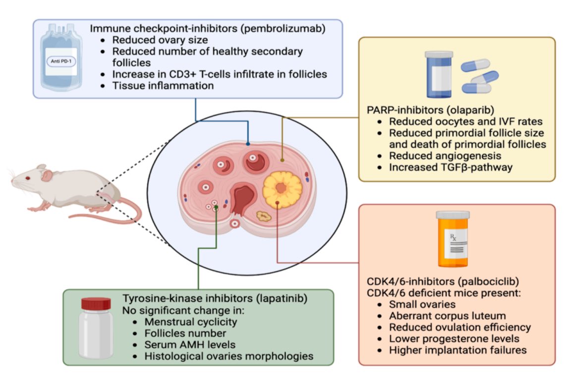 Proud to have contributed to this systematic review led by <a href="/gabri_gentilee/">Gabriella Gentile</a> and <a href="/matteolambe/">Matteo Lambertini, MD PhD</a> and just published in @OncologyAdvance #CancerTreatRev

We summarized last evidence on #gonadotoxicity, with special focus on new agents in BC treatment

<a href="/DottBotticelliA/">Andrea Botticelli</a> <a href="/OncoAlert/">OncoAlert</a> #bcsm