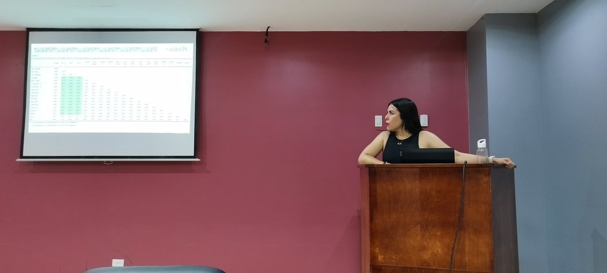 Hoy concluí el 4to semestre de Doctorado…esto está pasando muy rápido