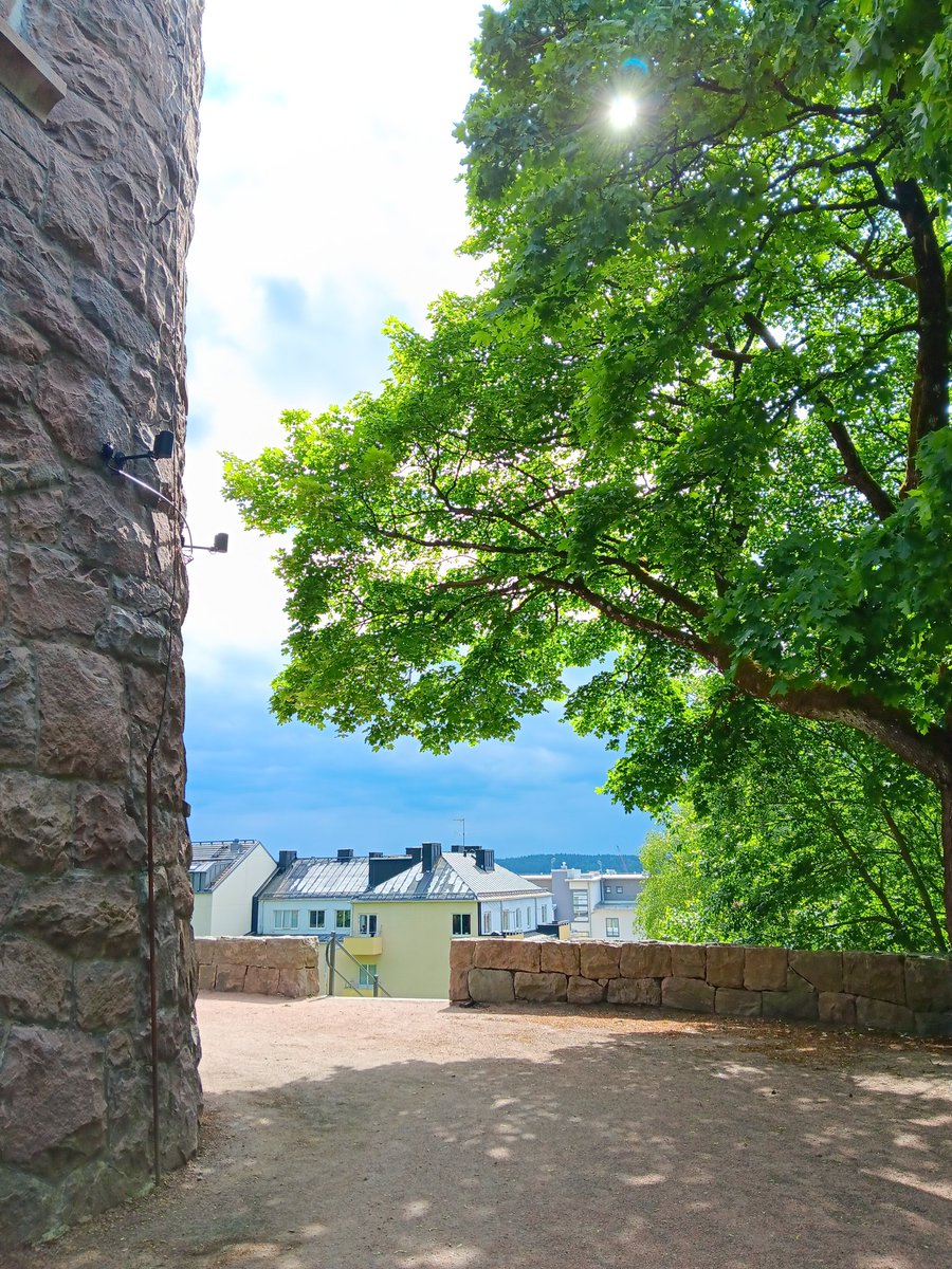AnetteJonasson's tweet image. Sunshine, clouds, trees and a view over the city😊
The simple things to love🌳💚