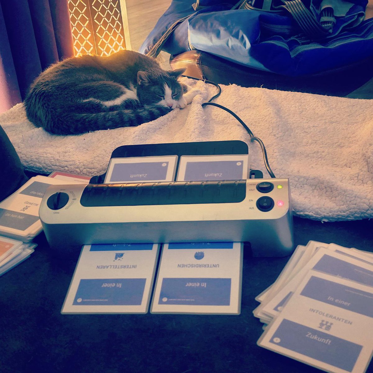 petiteprof79's tweet photo. Wenn du denkst, du wärst dem Laminieren vor Jahren entkommen... 🤣
Die #LEARNTEC kann kommen. 
#zukunftgestalten #playfulness #humandigitality #zukunftdeslernens  #transformingeducation
@lmz_bw @MedienzentrenBW @mind_catch https://t.co/WsYavVUpYC