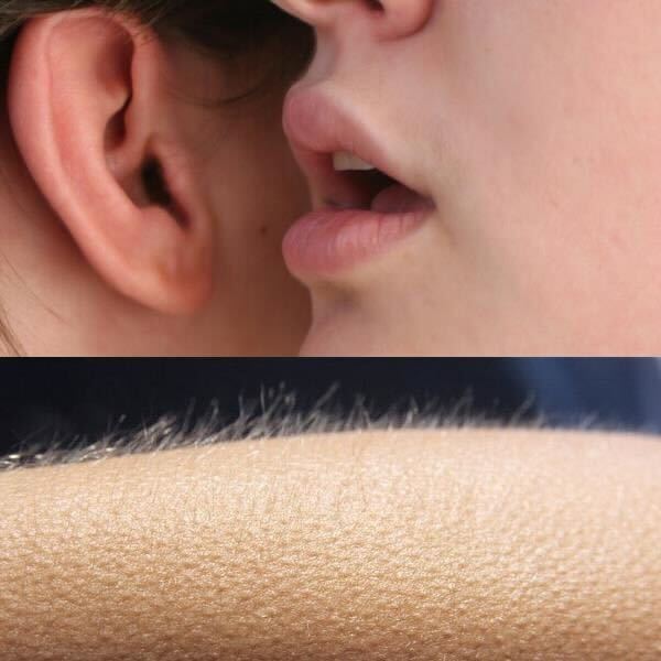 "The Tony Awards are in two weeks."