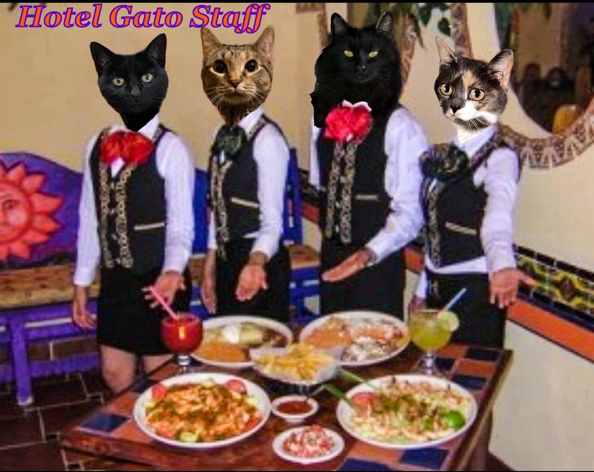 Hi friends the Hotel Gato dining room is closed. Thank you for joining us for lunch we’ll see you Friday have a wonderful evening!! Love Katie 💖 Tinka🖤🔮 Sophie☪️🪻 Chef Samson🖤🦬 & Sarah💟🌼  #CactusGulch #chilltent #Xanawu #KittyTwitter