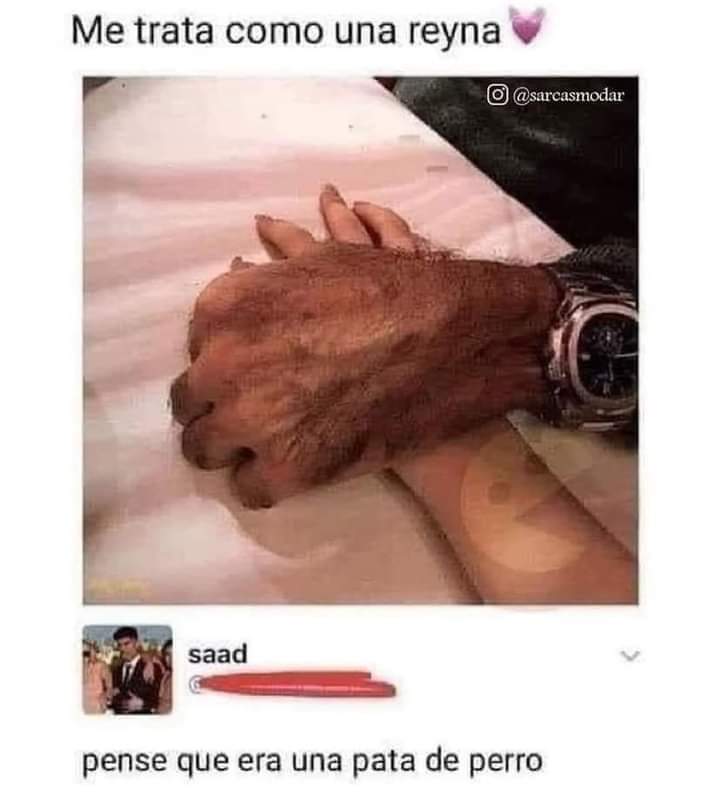 Villfork's tweet image. Tu y yo amor lo sabes  😏😂 @Milena260923