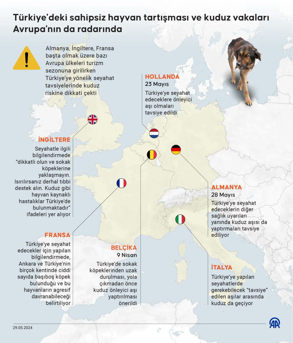 Avrupa ülkeleri Türkiye seyahatlerinde vatandaşlarını başıboş köpekler için uyardı. (AA)