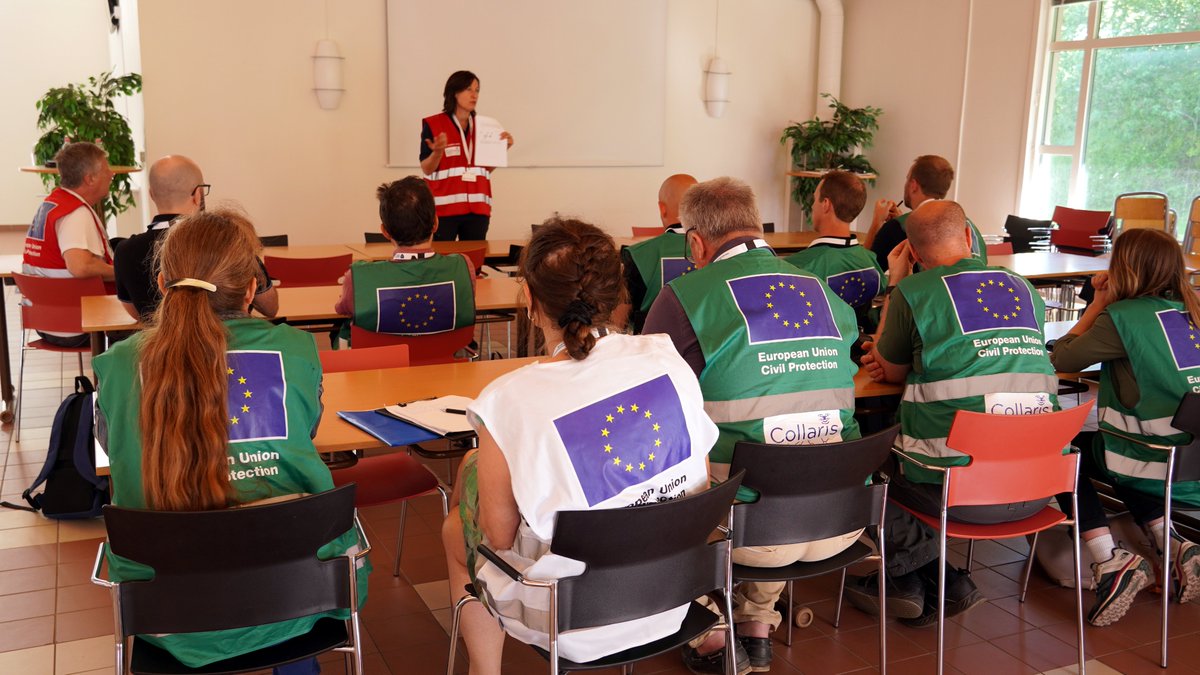 COLLARIS Network tweet media