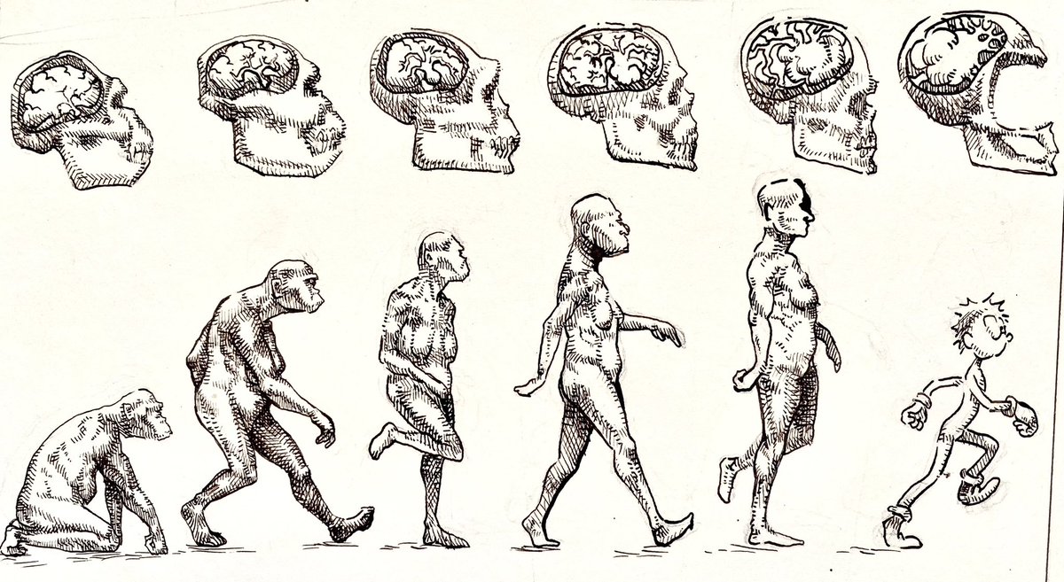 simmsunz's tweet photo. march of evolution https://t.co/hbPF2iQsBi