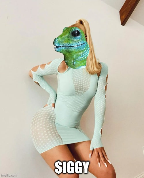 yeezycat's tweet photo. @Pauly0x And I'm still in the Murder Business. I can hold you down,. like I'm giving lessons in physics
 J7u7Zhhz4hHpM1tAHjrusUum5bupCBXvXHFcNkwZRH39 

$IGGY $MOTHER #Sol #Memecoins https://t.co/IUbaeGJurj