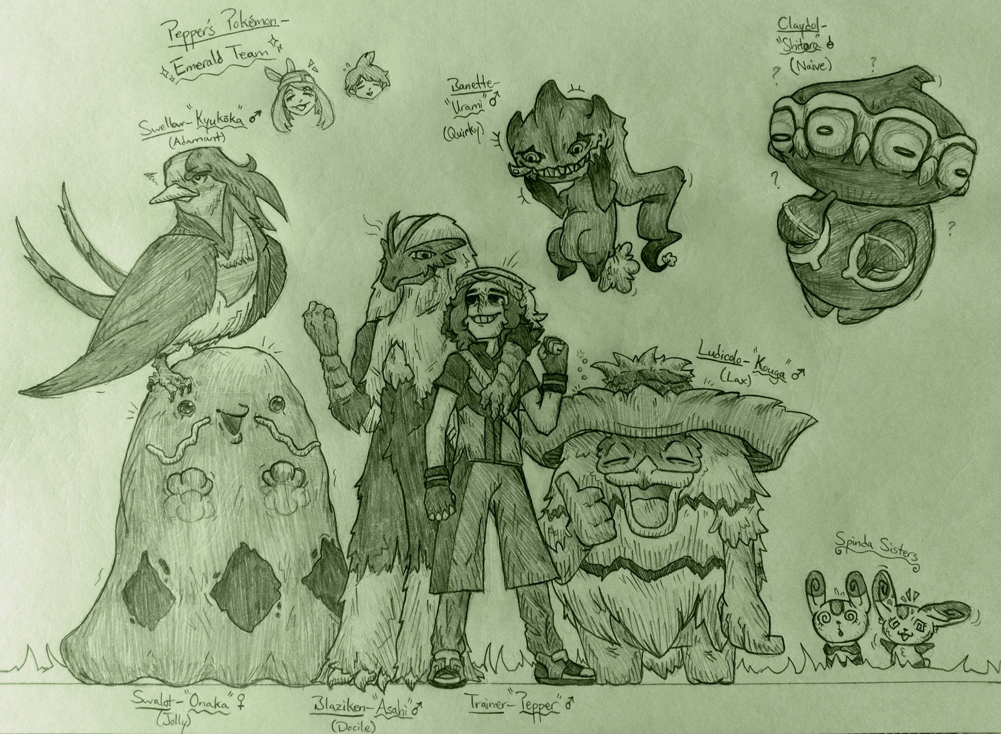 PepperedJackalope on X: “Pepper’s Pokémon Emerald Team (Full 6/6 