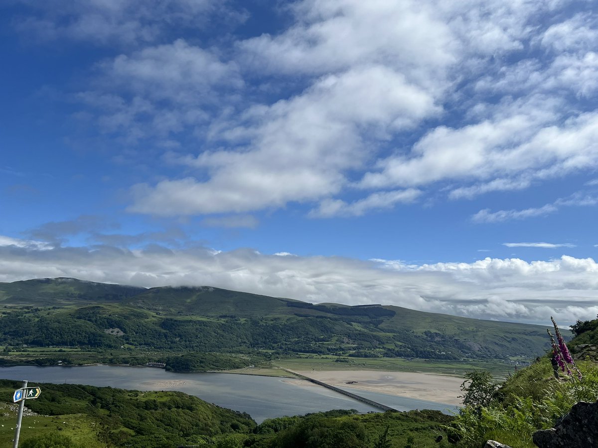 Miss Dobbin tweet media