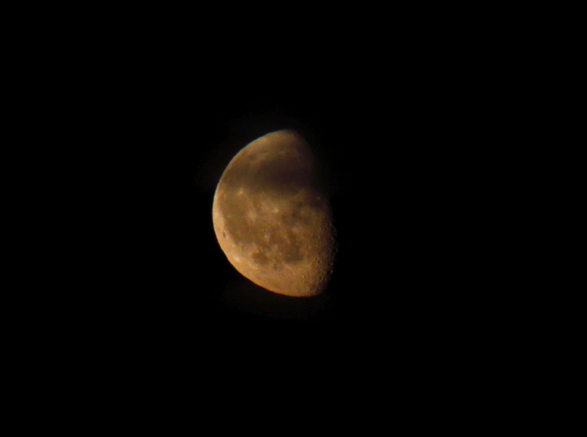 Rising cloudy deep gold 68.4% Waning Gibbous moon 29/5/24 #moonwatch #wonders #astronomy @MoonHourSocial