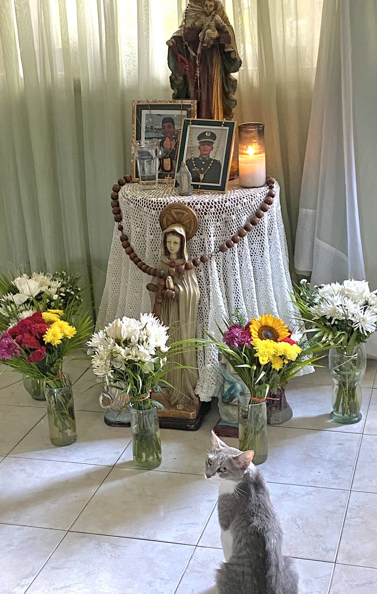 anabgm_'s tweet photo. Incluso después de la muerte ella sigue contigo, siempre a tu lado🥹💔 https://t.co/joVjq7Zvpc