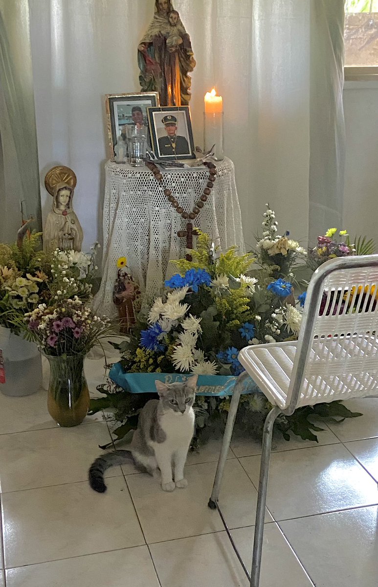 anabgm_'s tweet photo. Incluso después de la muerte ella sigue contigo, siempre a tu lado🥹💔 https://t.co/joVjq7Zvpc