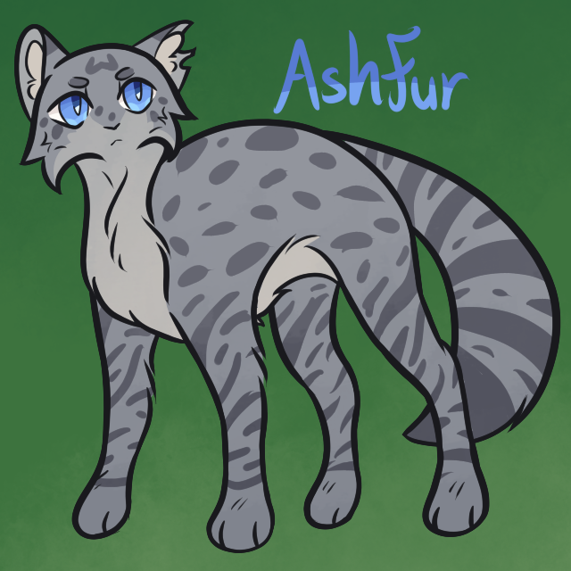 kokrarus tweet media