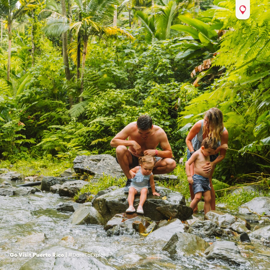 Experience the joy of family time in Puerto Rico! 🏝️

✨ With endless activities and stunning landscapes, it's the ultimate destination for family fun. 

DM us or visit govisitpr.com to book your trip.

#DareToExplore #PuertoRico #GoVisitPuertoRIco