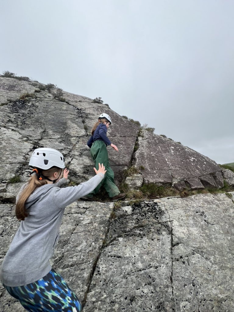 Miss Dobbin tweet media