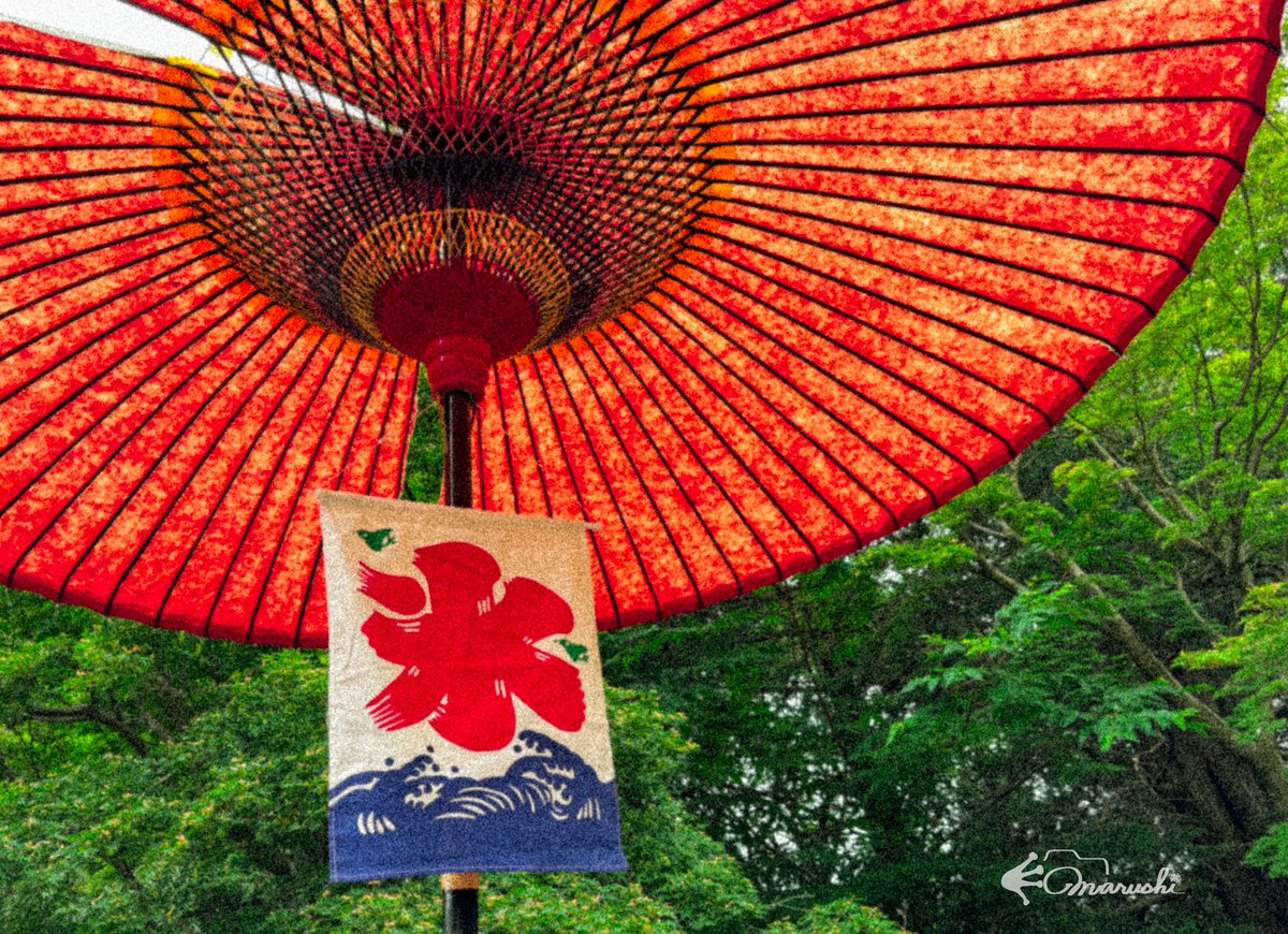 じきに夏が来ますね

 #写真が好きな人と繋がりたい 
 #カメラ
 #キリトリセカイ 
 #OLYMPUS