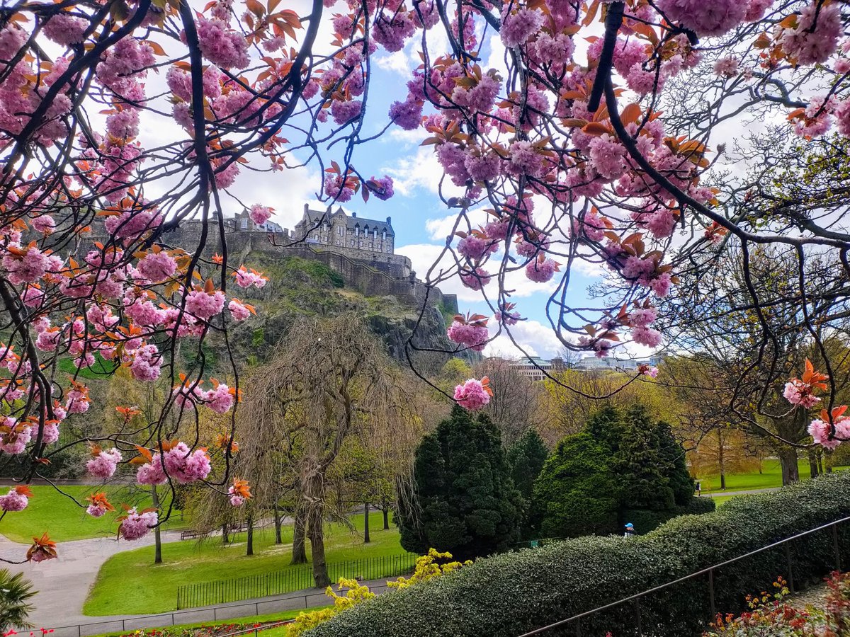 edinburghcastle's tweet image. A6. We will take any opportunity to share pictures of Edinburgh, every angle is just beautiful🥰
#ScotlandHour