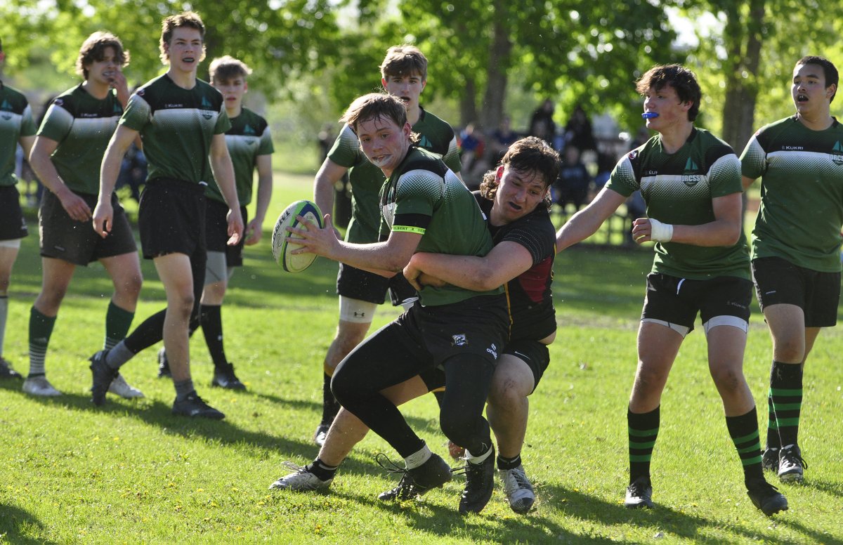 Jules S. Xavier tweet media