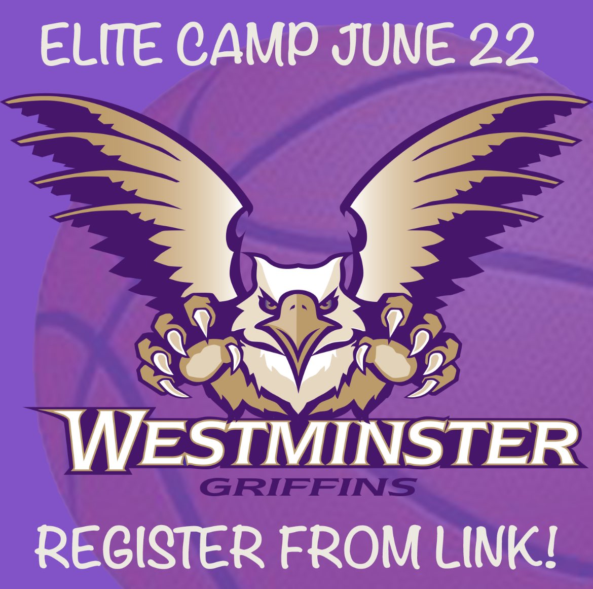 Westminster Women’s Basketball tweet media