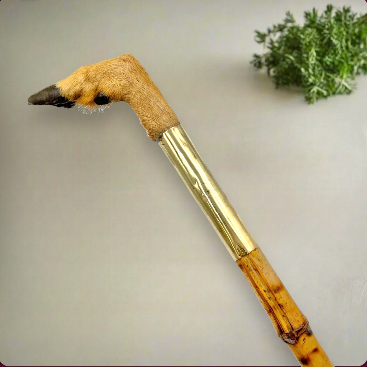 French vintage bamboo walking cane with deer handle £89.99 #taxidermy #huntinggift #buyvintage allthingsfrenchstore.com/products/taxid…