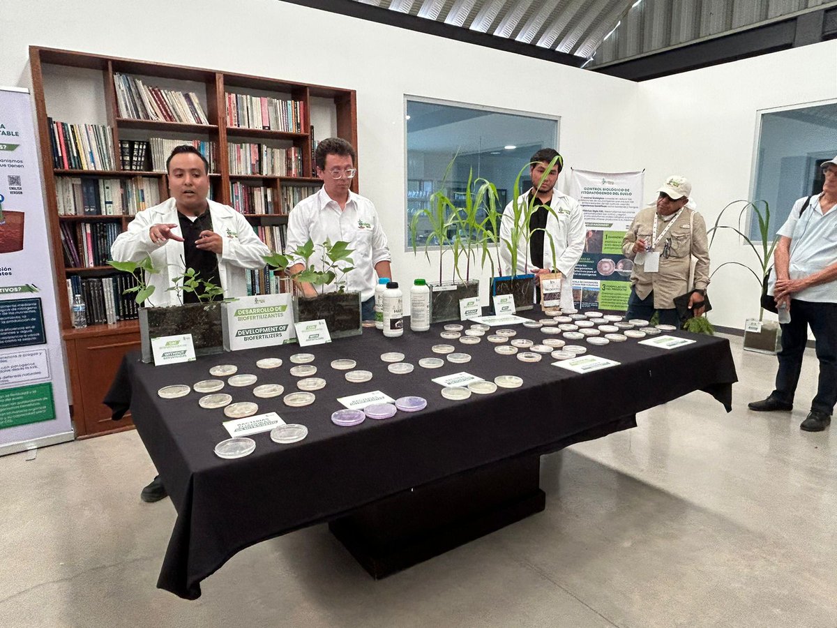 Muchas gracias a #Bonsucro por su compromiso para impulsar la sostenibilidad en la agroindustria de la caña. ¡Juntos trabajamos por un futuro más sostenible!

Thanks, <a href="/Bonsucro/">Bonsucro</a>, for your commitment to boosting sustainability in the sugarcane industry. Together we work for a more