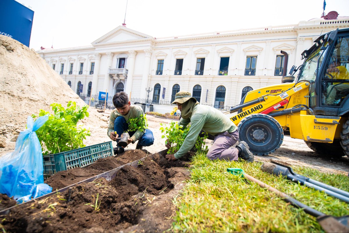 Contamos con equipo que trabaja 24/7 para la arborización en el Centro Histórico de San Salvador.