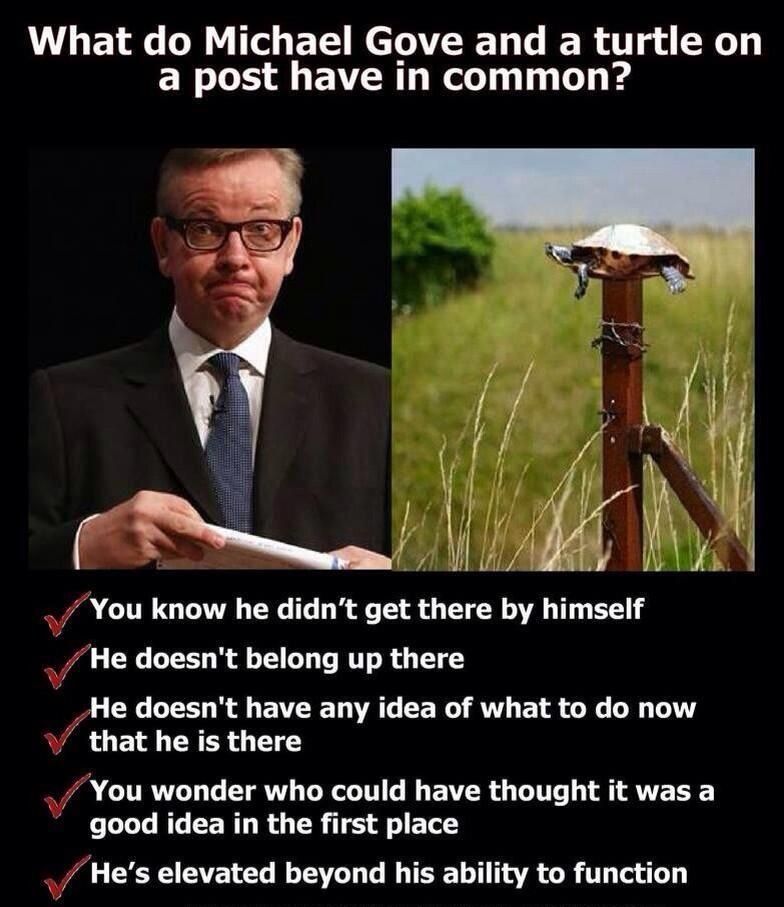 What do Michael Gove and a turtle on a post have in common? Check on my #blog --> sydesjokes.blogspot.com/2024/05/what-d… #FuckTheTories #ToryScum #NeverVoteTory #NeverVoteConservative #GTTO #GeneralElection2024 #VoteTactically #TacticalVoting #StopTheTories stopthetories.vote