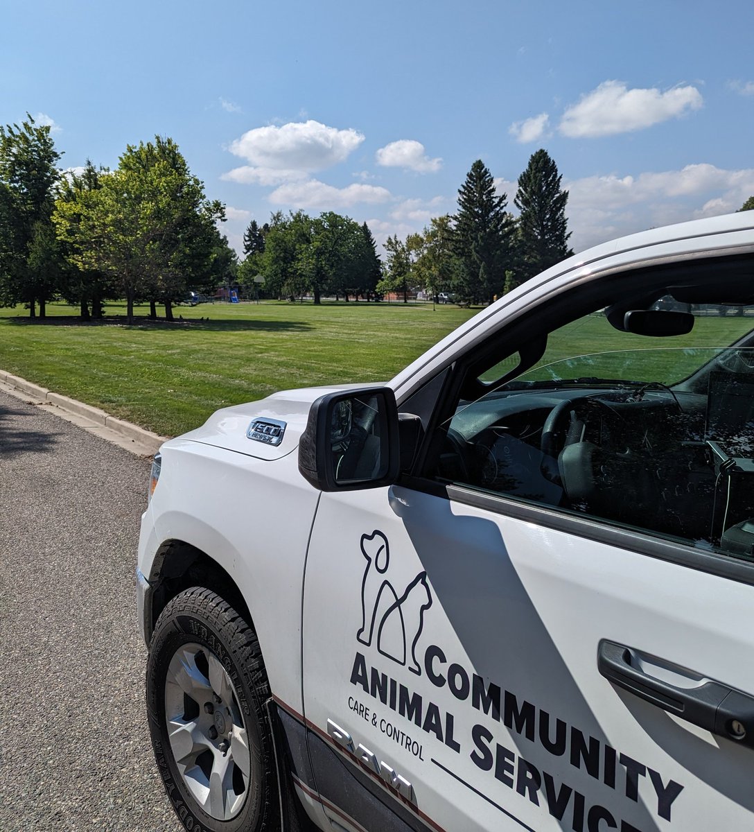 Another windy day means our officers are going non-stop to loose dog calls all over the city. Not sure why people keep leaving their dogs alone outside. Prevent escape by securing your yard and always supervising your pets.

#yql #lethbridge