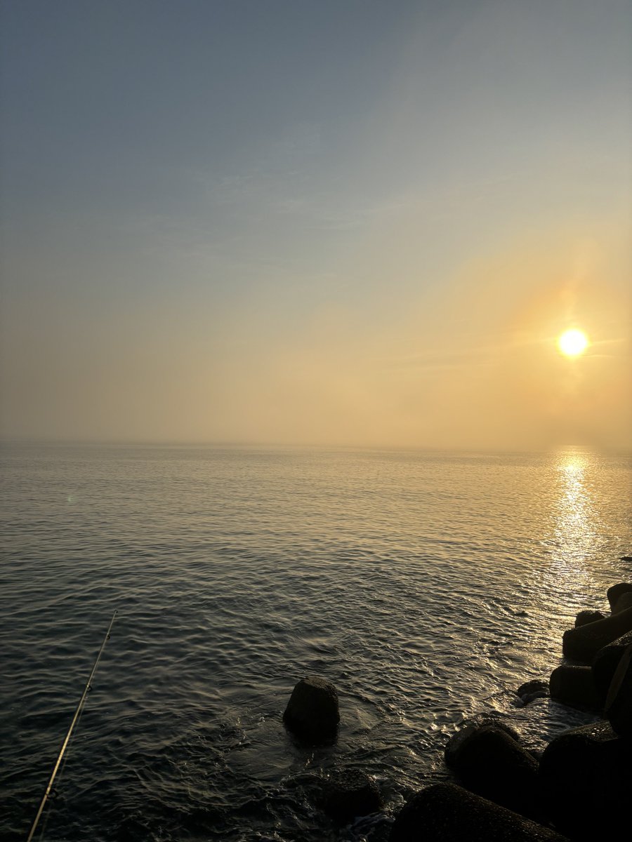 __h___h___h's tweet photo. 朝活🎣 https://t.co/KigG1yoCYa
