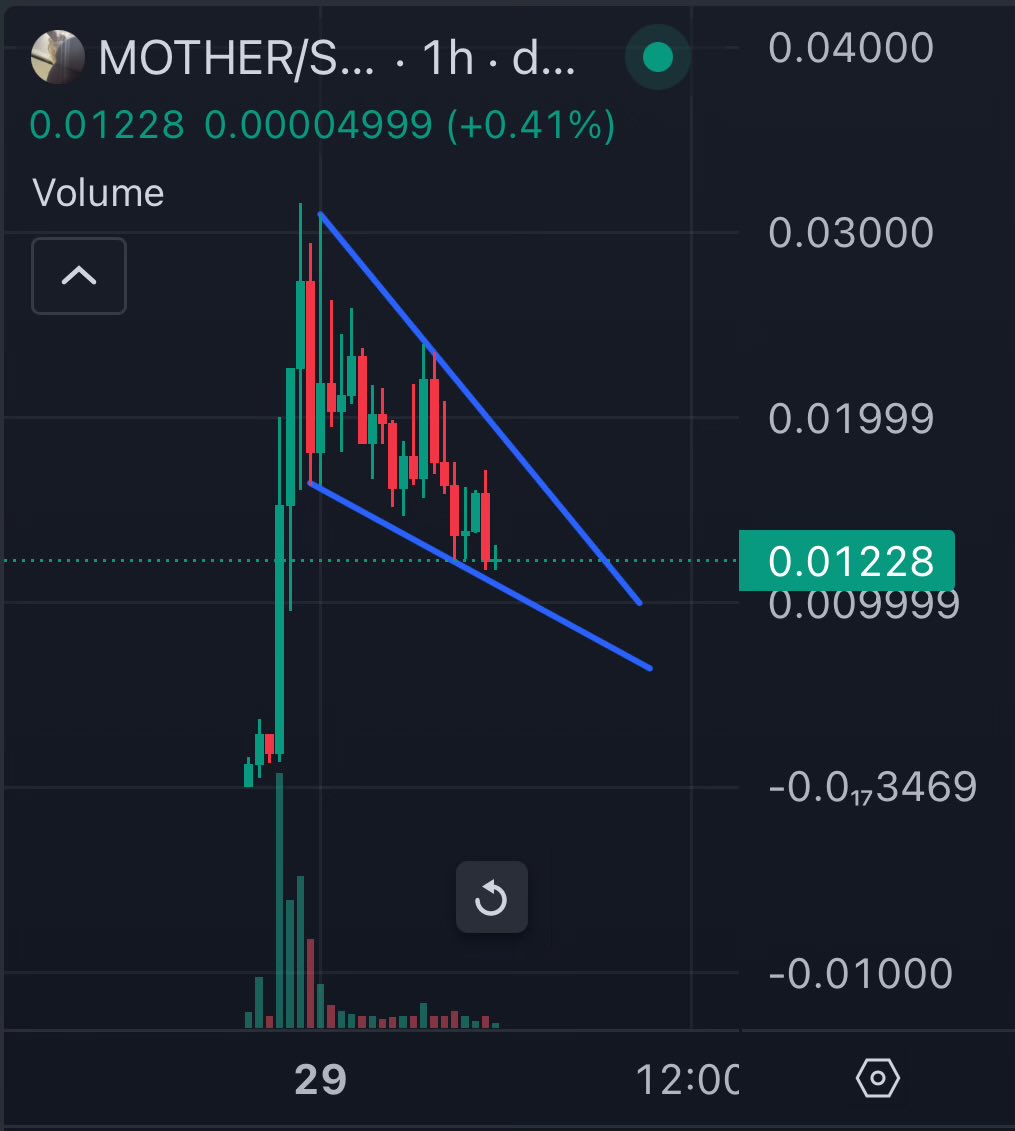 I mean I’m gonna be real… @IGGYAZALEA may be the first legitimate celeb to mint a token that’s staying. Seems like she has a real interest in the space… Isn’t that what we want to see? Also, $MOTHER looks good from a TA standpoint imo (descending wedge). NFA.