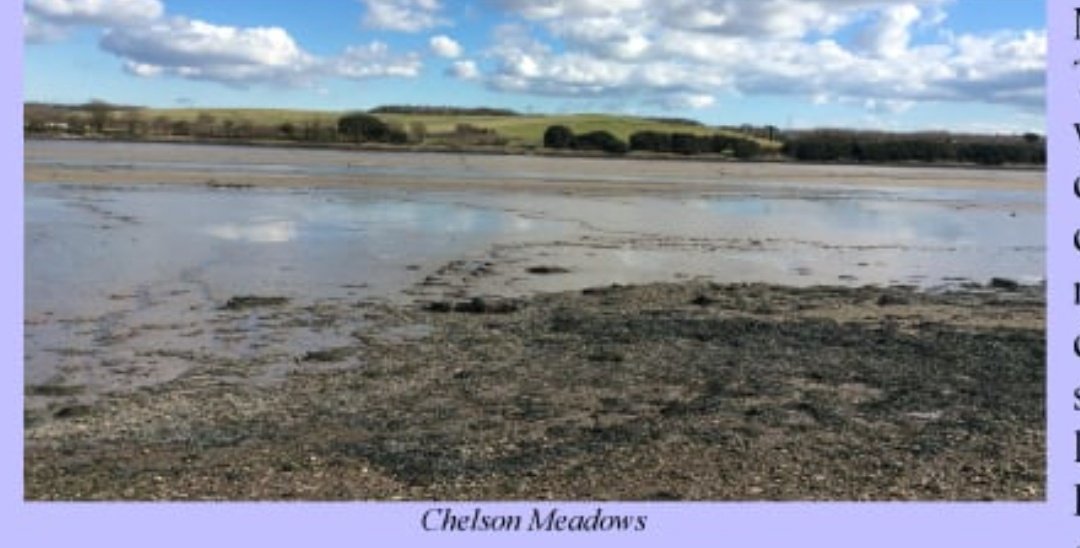 BettyBunny23's tweet photo. @GreenpeaceUK I'm more horrified that my council in #Plymouth would have people believe that approving a solar 'farm' on the most biodiverse part of a nature rich, protected green space, will help save the planet. @plymouthcc @DevonWildlife @nationaltrust #Saltram #Greenwashing #MoneyTalks https://t.co/ulO48FiDOK