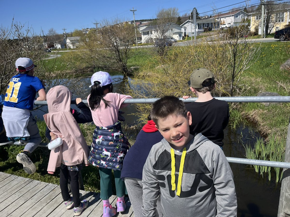 Pond walks &amp; visiting our new duckling neighbours! #BetterTogether #NatureWonders <a href="/StTeresasSchoo1/">St. Teresa's School</a>