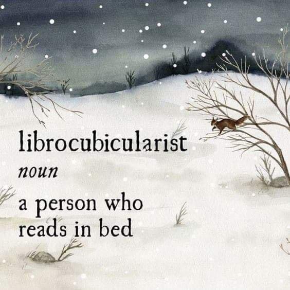 Is this you? 😊#bookaddict #bookworm #readingcommunity