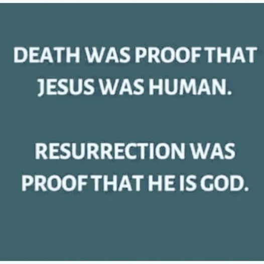 John Koontz ReformedDoc tweet media