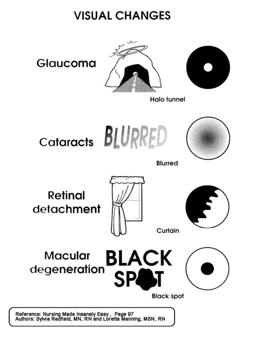 How do these diseases impact vision?