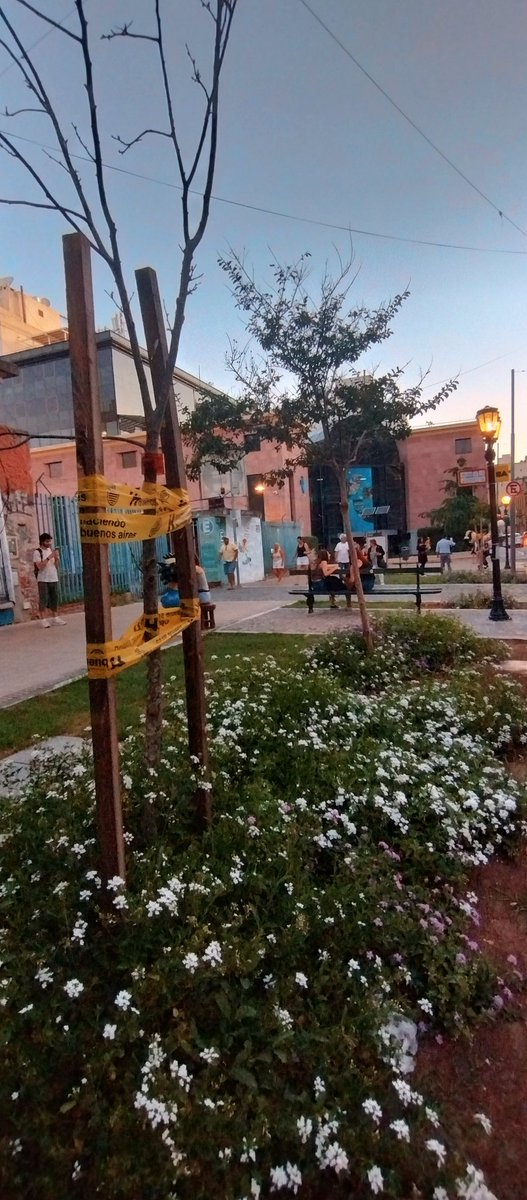 #Flores #SanTelmo #CABA #BuenosAires 🌸🤗🇦🇷 @Imagen_Arg #hacerfotos