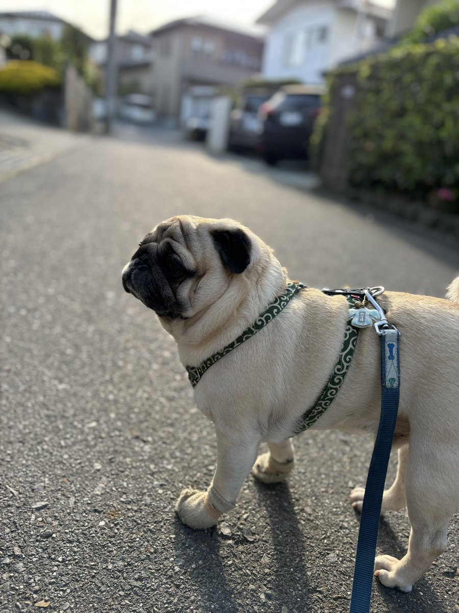 おはよう御座いますU・x・U
今日は31℃まで上がる予報🥵
そして明日は雨らしい☂️
体調管理に注意して、後半戦もボチボチまいりましょう🐾