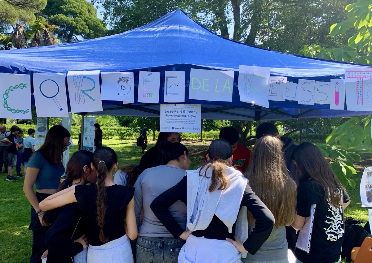 SvT Goscinny (@laurenceolive) on Twitter photo Félicitation aux élèves du #lyceeGoscinny d’avoir reçu le diplôme #ReussirAveclesSciences pour la Cordée « du gène à l’organe » et le prix du jury de la meilleure présentation, au Parc Valrose par <a href="/NatachaChicot/">Natacha Chicot</a> . <a href="/AcademieNice/">Académie de Nice</a> @Orel_Doucet <a href="/ircaninstitute/">IRCAN</a> <a href="/C3M_U1065/">C3M</a> @ibvnice Félicitation aux élèves du #lyceeGoscinny d’avoir reçu le diplôme #ReussirAveclesSciences pour la Cordée « du gène à l’organe » et le prix du jury de la meilleure présentation, au Parc Valrose par <a href="/NatachaChicot/">Natacha Chicot</a> . <a href="/AcademieNice/">Académie de Nice</a> @Orel_Doucet <a href="/ircaninstitute/">IRCAN</a> <a href="/C3M_U1065/">C3M</a> @ibvnice