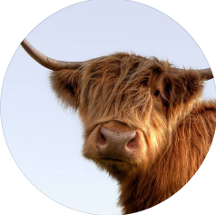 Thanks to
<a href="/VisitScotland/">VisitScotland</a> for the shout-out visitscotland.com/info/events/th…
…to our performance on Sept. 21, 24 at the Adam Smith Theatre <a href="/onfife/">ON at Fife Theatres</a> Join us for an unforgettable evening that guarantees to inspire and entertain! From over 100+ Off-Broadway performances direct to Scotland!