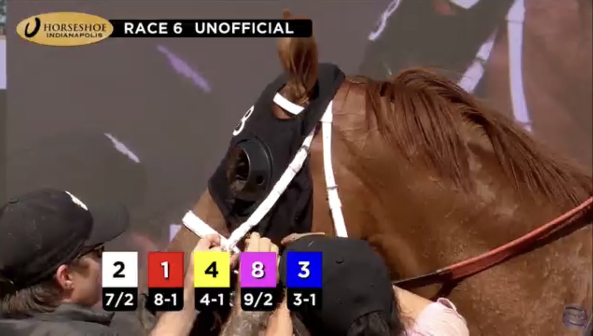 Honeyquist returns off the bench to win an allowance race at Horseshoe Indianapolis with speed to spare! Earning his and our first win in Indiana. Great training job Wayne Catalano and awesome ride @jaimetorresjcky #UCR #Honeyquist #HorsehoeIndianapolis