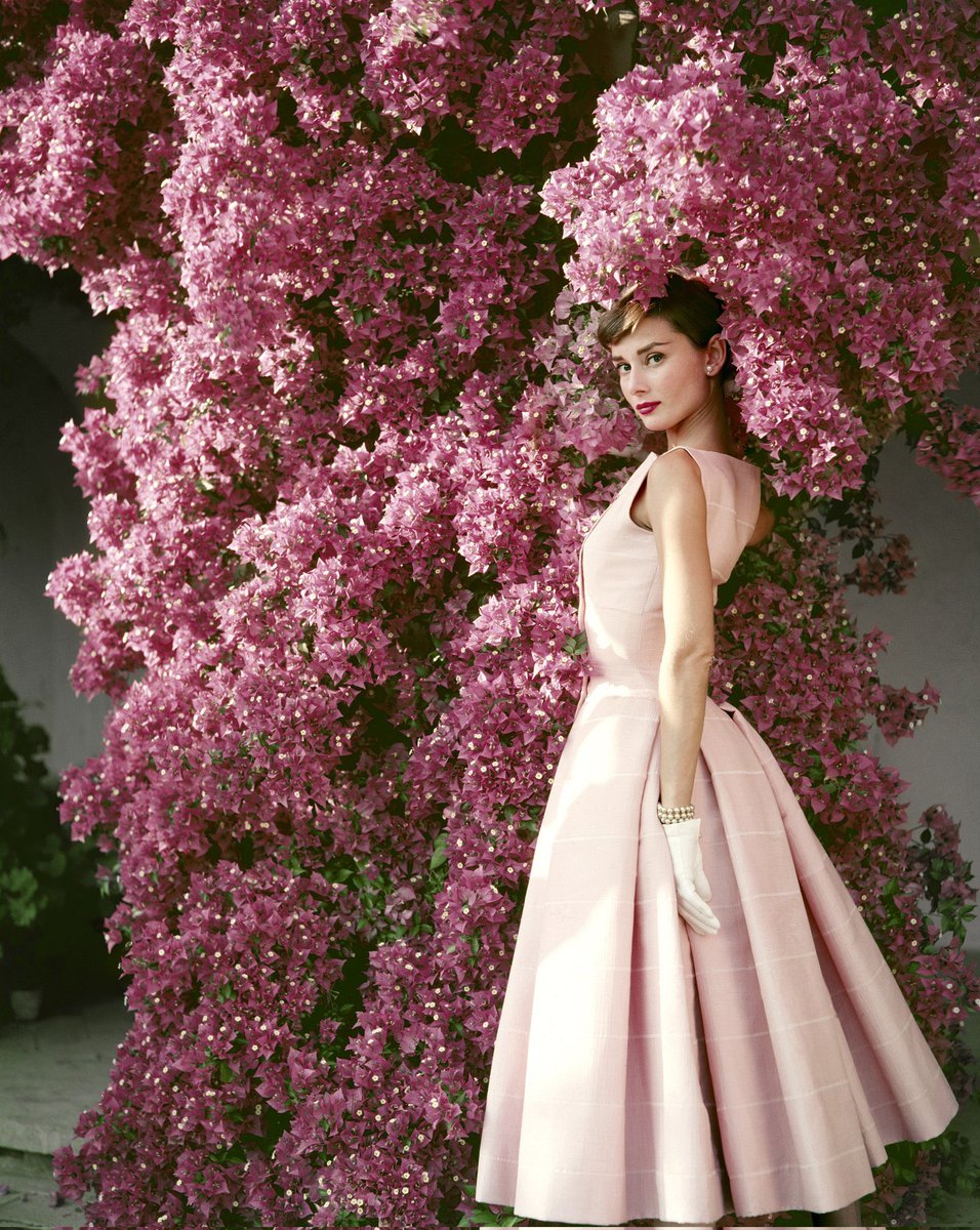 Audrey Hepburn in 1955 📷 by Norman Parkinson