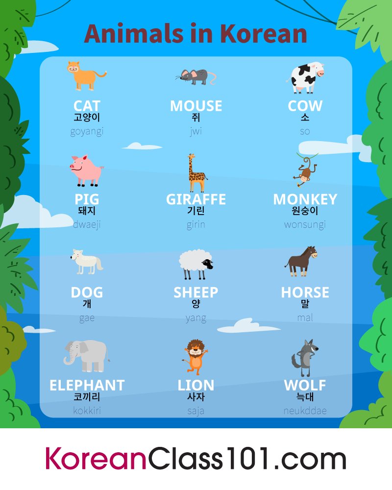 Could you tell the Korean names of the animals at the zoo? 🦁🙈 PS: Learn  Korean with the best FREE online resources, just click here  https://t.co/n4LCgva22h, image size:800x1000
