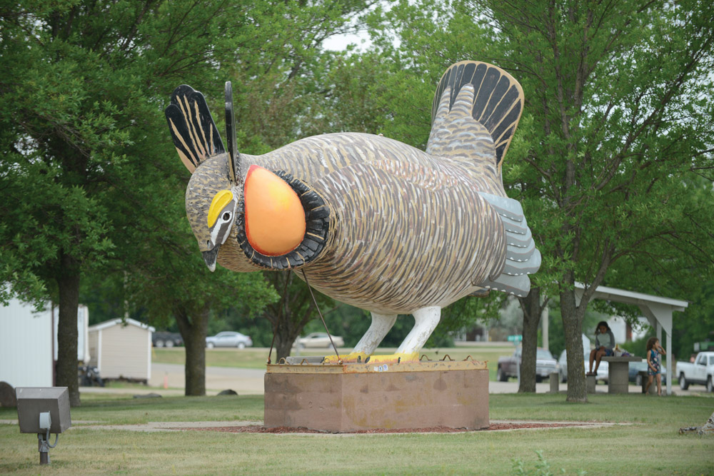 The world’s largest prairie chicken is on display in Rothsay. It was one of the sights writer Ryan Rodgers discovered last summer during a road-trip through northwestern Minnesota along the lost shores of Glacial Lake Agassiz. minnesotamonthly.com/travel-recreat…
📸 and 🗒️ Ryan Rodgers