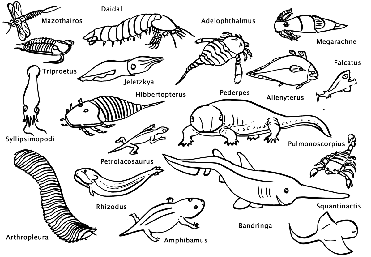 Carboniferous sketches.