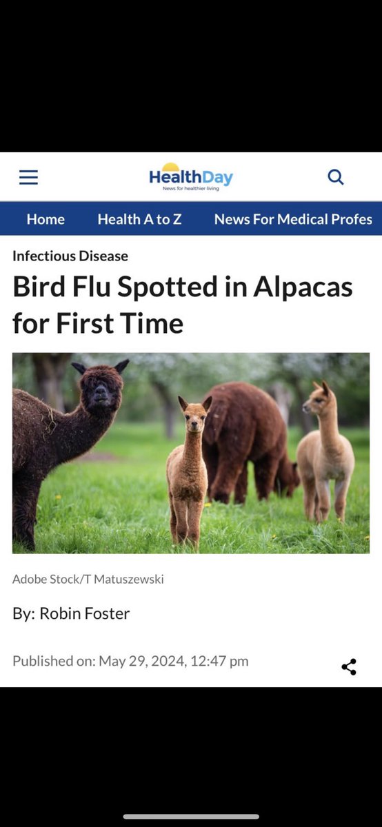 Quick kill all the Alpacas….. They’re starting to ramp up the Bird Flu narrative everywhere.