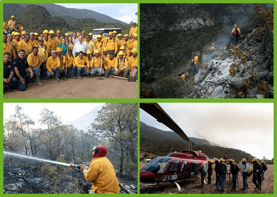 Incendios forestales al Sureste de Coahuila se reportan bajo control. Saltillo y Arteaga
"Se conto con apoyo aéreo, la ayuda del Ejército Mexicano, la GN y brigadas civiles"
columnasdemexico.com/incendios-fore…
#RegiónSureste #Saltillo #Arteaga <a href="/CONAFOR/">CONAFOR</a> <a href="/columnasdemex/">Columnas de México</a> <a href="/adrian_garzap/">Adrián Garza Pérez</a>