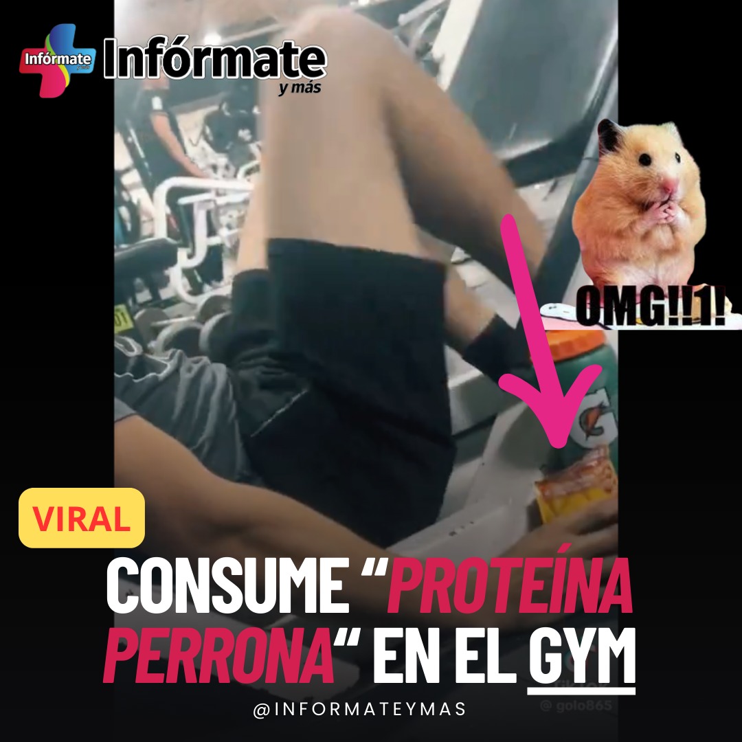 #Viral 
💪🏻🏋🏻 Cuando vayan al gym, no olviden su suplemento de proteína, para desarrollar mejor esos músculos.

VIDEO: x.com/InformateyMas/… 👈🏻

#Gym #Proteína #Sobre