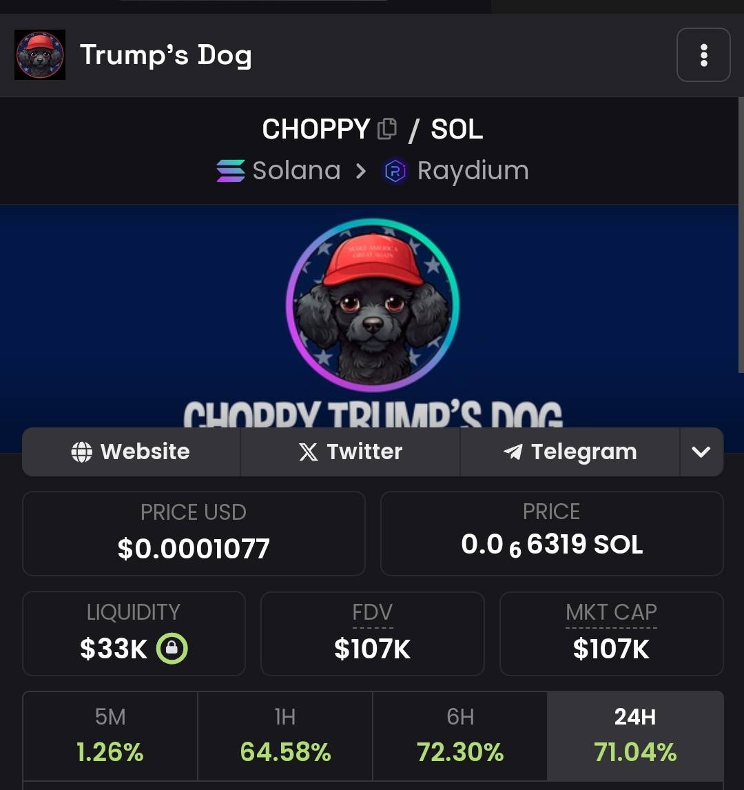 <a href="/solana/">Solana</a> The #Trump family's #dog has been here on Solana, CTO since March, grinding and resilient. We grow strong!

🔥#CHOPPY on #Solana.
#10000x #gems 🚀 <a href="/solana/">Solana</a>

TG: t.me/Choppy_Communi…
CA: HyC88nKxLcBHdhxNN7eooDrFNnatd3FCtoXKpevTepeF